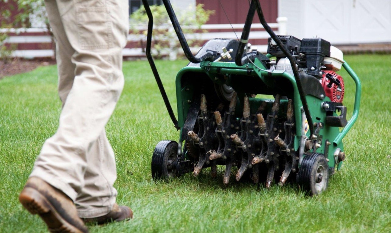 Core aeration in progress on a lawn