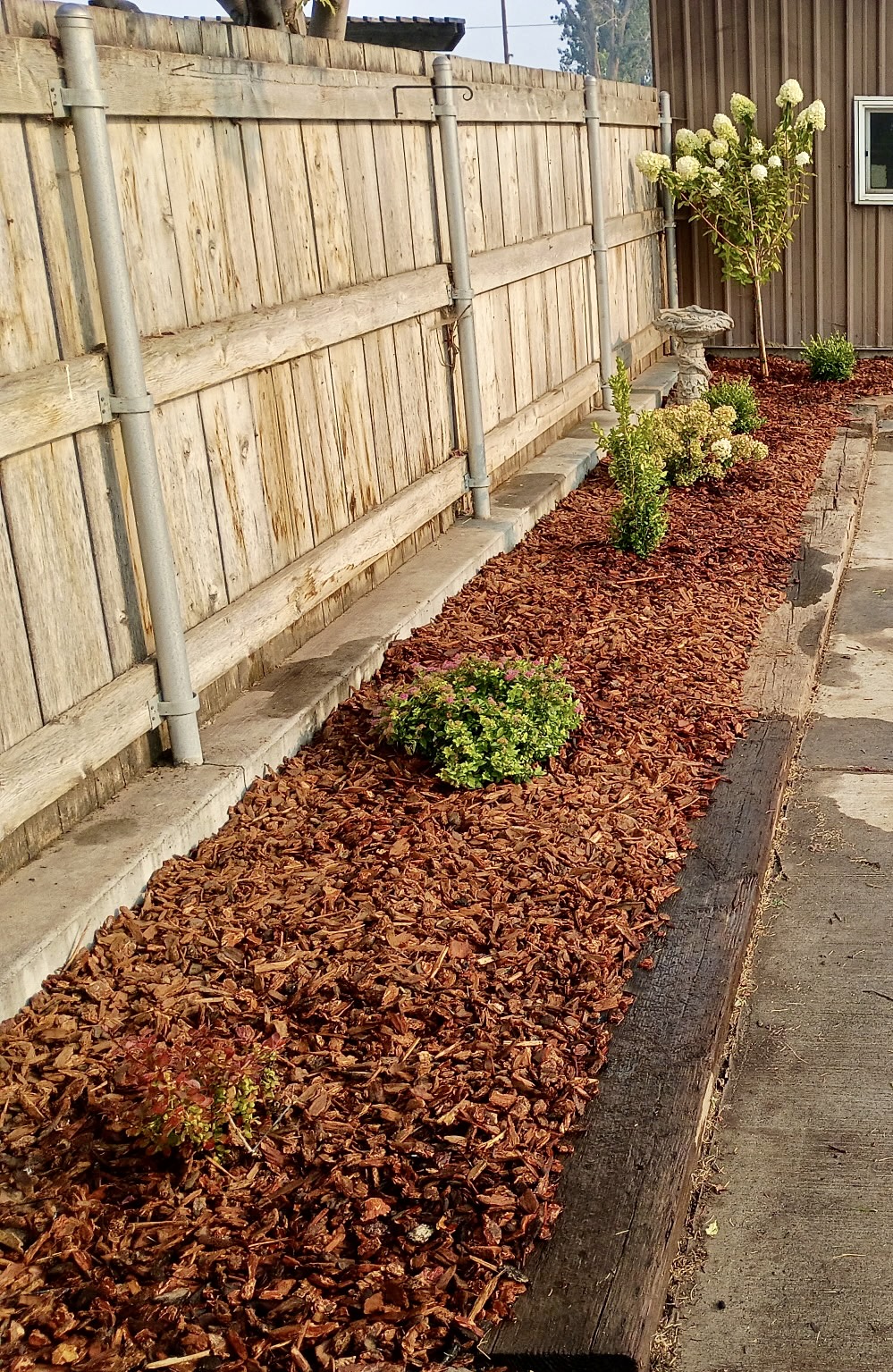 Finished planting bed with fresh mulch and installed shrubs
