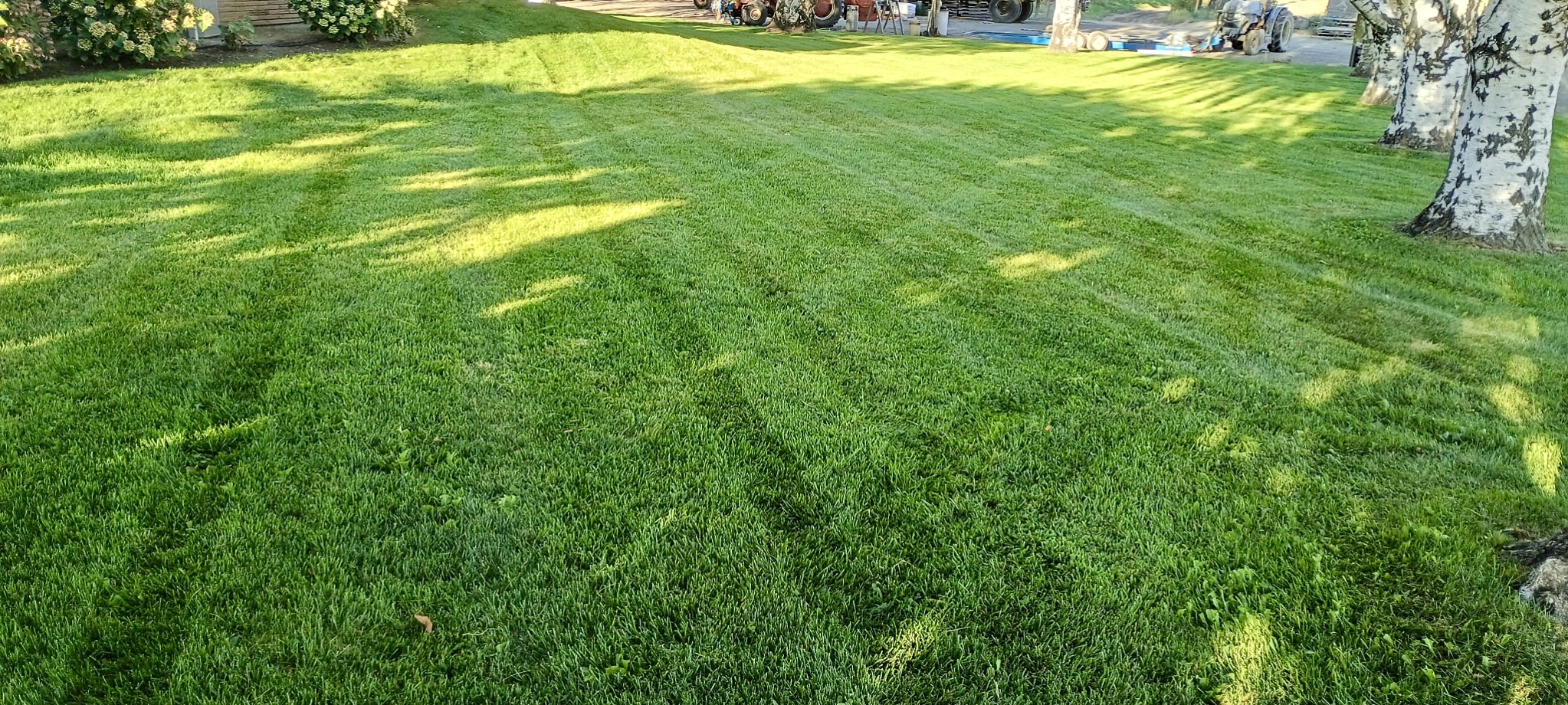 Freshly mowed and striped lawn in the Yakima Valley