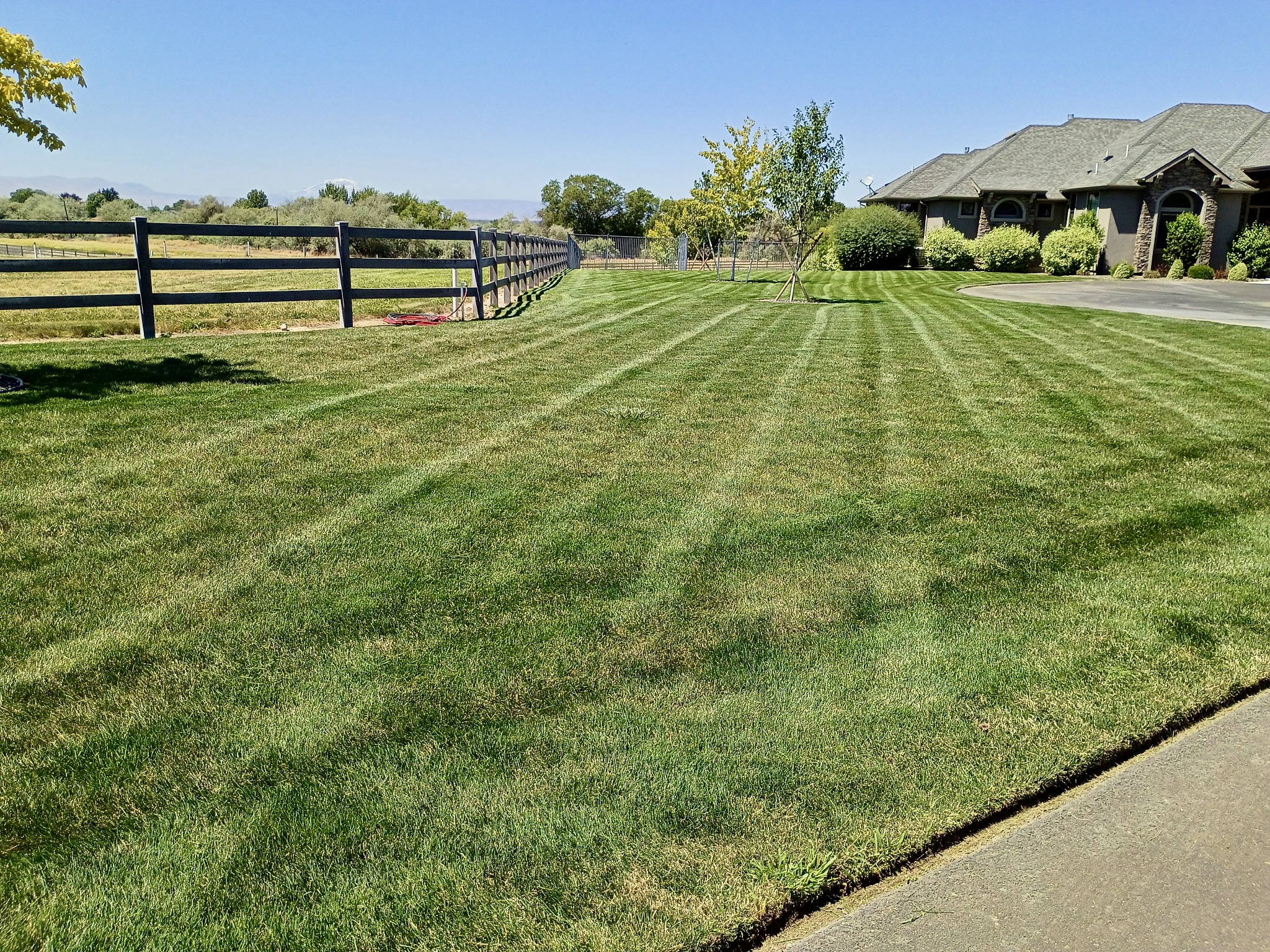 Freshly mowed and striped lawn in the Yakima Valley
