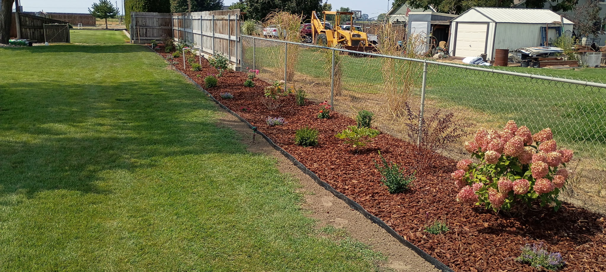 Mulched flower bed with mixed plantings along a fence line